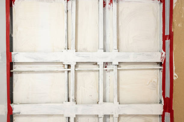 Best Asbestos and Lead Testing During Mold Inspection  in Medina, MN