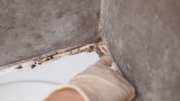 Best Indoor Air Quality Assessment  in Medina, MN